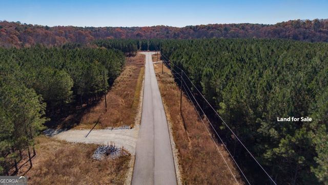 LOT 1 Steadman Lane, Tallapoosa, GA 30176