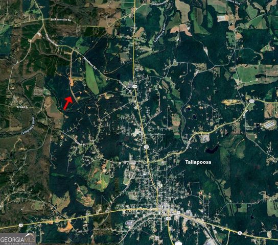 LOT 1 Steadman Lane, Tallapoosa, GA 30176