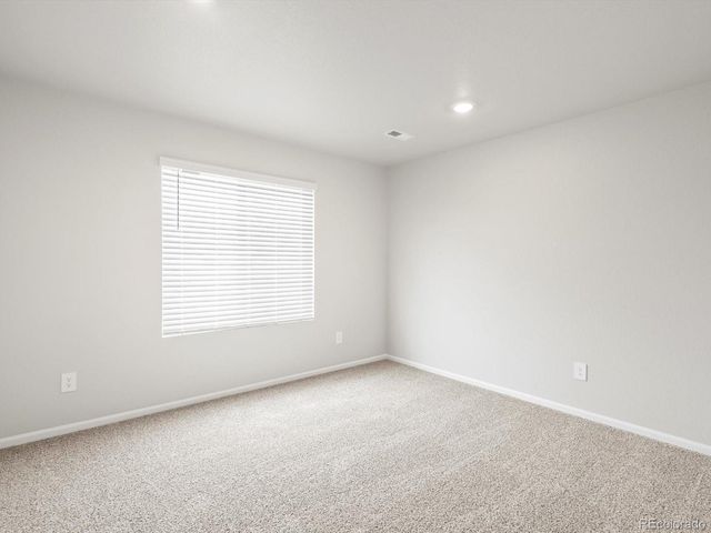 1593 Colorado River Drive, Windsor, CO 80550