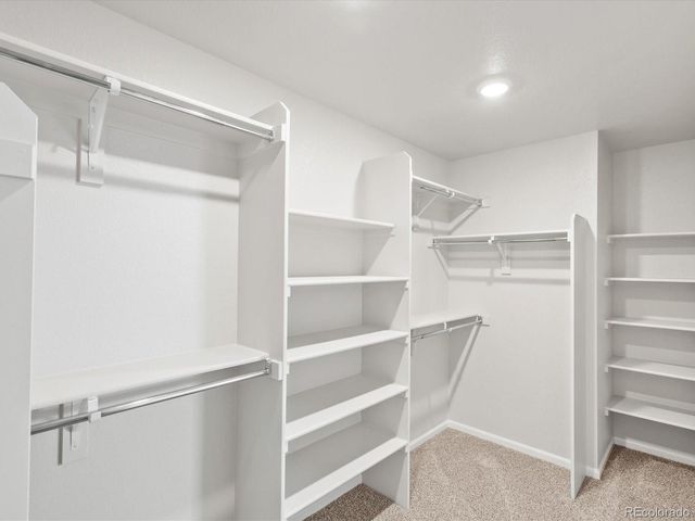 1593 Colorado River Drive, Windsor, CO 80550