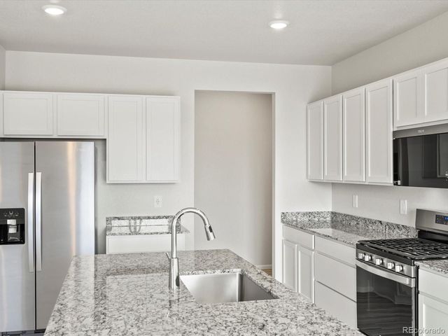 1593 Colorado River Drive, Windsor, CO 80550