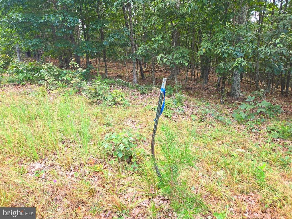 LOT 8 HARPER DRIVE, Augusta, WV 26704