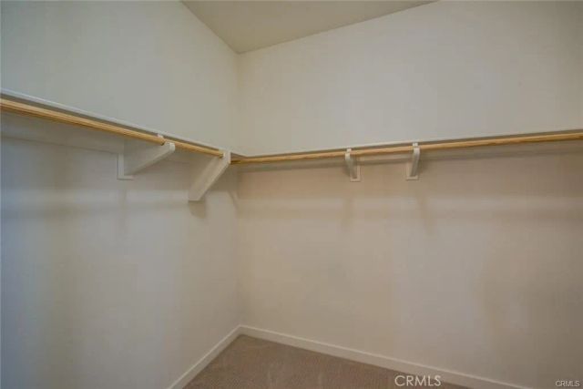 501 Trailblaze, Irvine, CA 92618