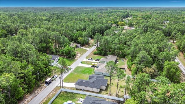 10970 N Dragonis Drive, Dunnellon, FL 34433
