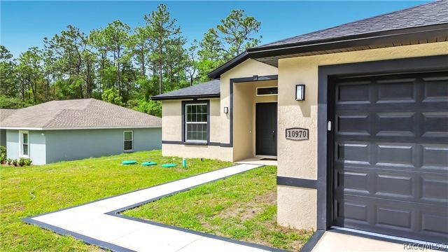 10970 N Dragonis Drive, Dunnellon, FL 34433