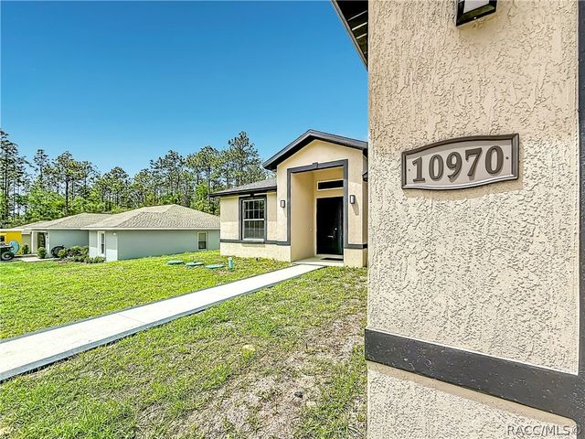 10970 N Dragonis Drive, Dunnellon, FL 34433