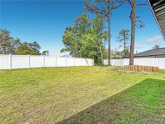 10970 N Dragonis Drive, Dunnellon, FL 34433