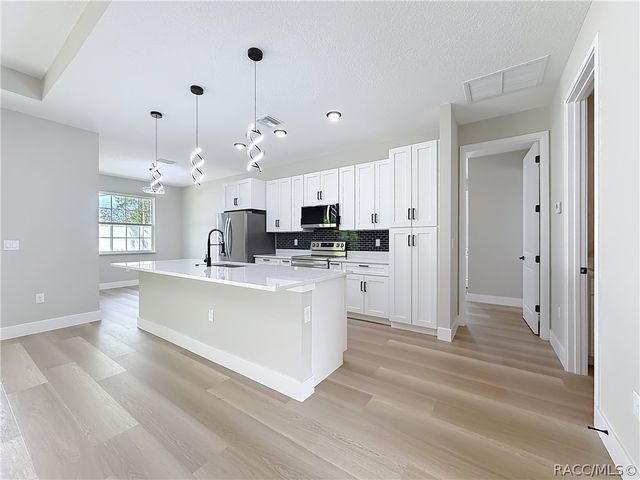 10970 N Dragonis Drive, Dunnellon, FL 34433