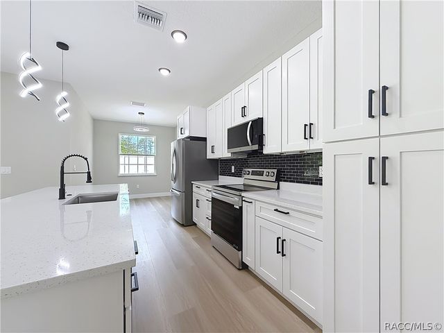 10970 N Dragonis Drive, Dunnellon, FL 34433
