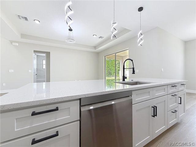 10970 N Dragonis Drive, Dunnellon, FL 34433