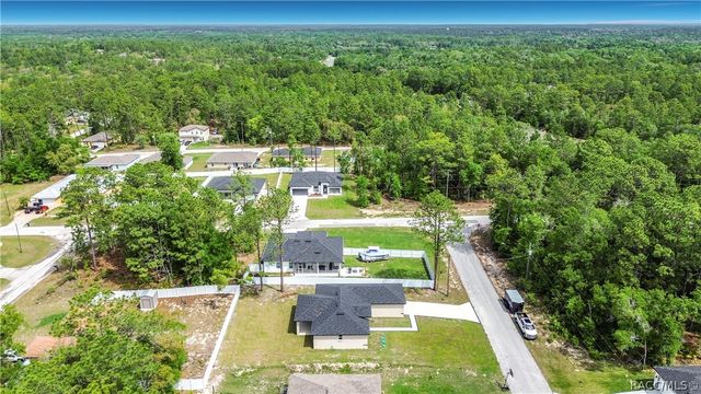 10970 N Dragonis Drive, Dunnellon, FL 34433