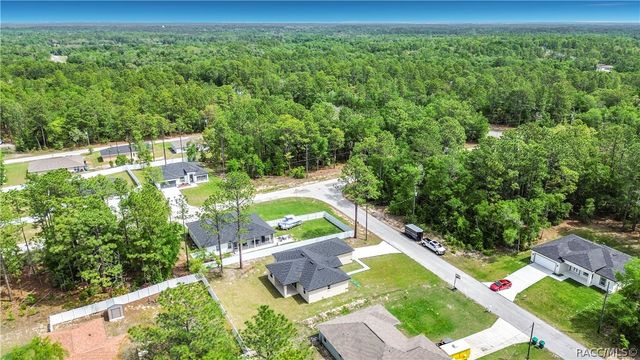 10970 N Dragonis Drive, Dunnellon, FL 34433
