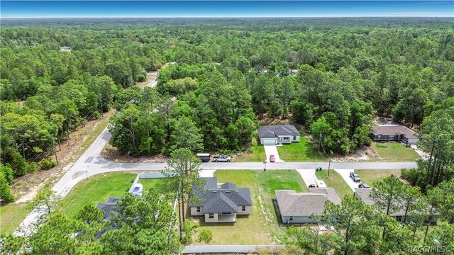 10970 N Dragonis Drive, Dunnellon, FL 34433