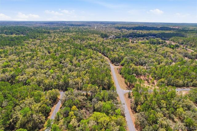 8969 N Alameda Drive, Dunnellon, FL 34434