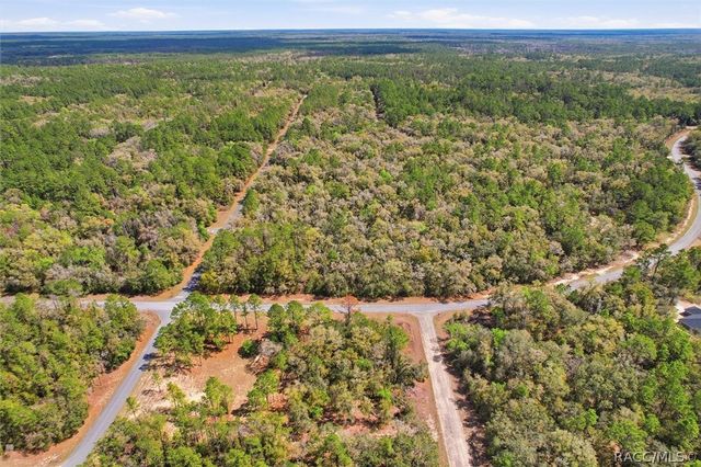 8969 N Alameda Drive, Dunnellon, FL 34434