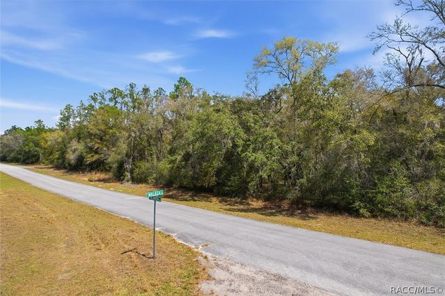 8969 N Alameda Drive, Dunnellon, FL 34434