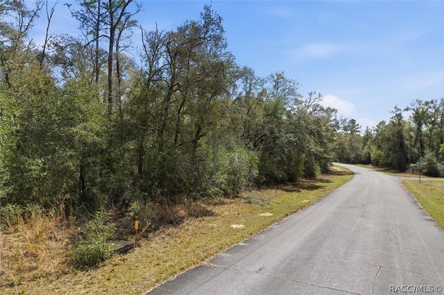 8969 N Alameda Drive, Dunnellon, FL 34434