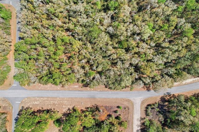 8969 N Alameda Drive, Dunnellon, FL 34434