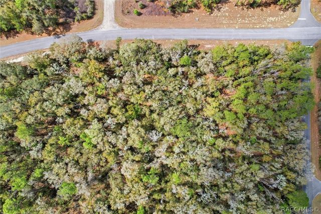 8969 N Alameda Drive, Dunnellon, FL 34434