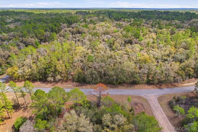 8969 N Alameda Drive, Dunnellon, FL 34434