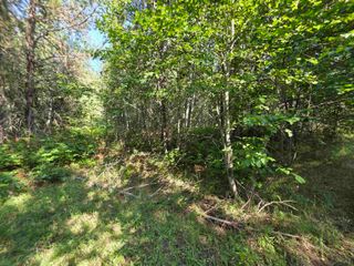 71 Hearts Delight Ln, Newport, WA 99156