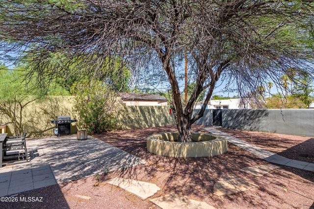 2441 E 5th Street, Tucson, AZ 85719
