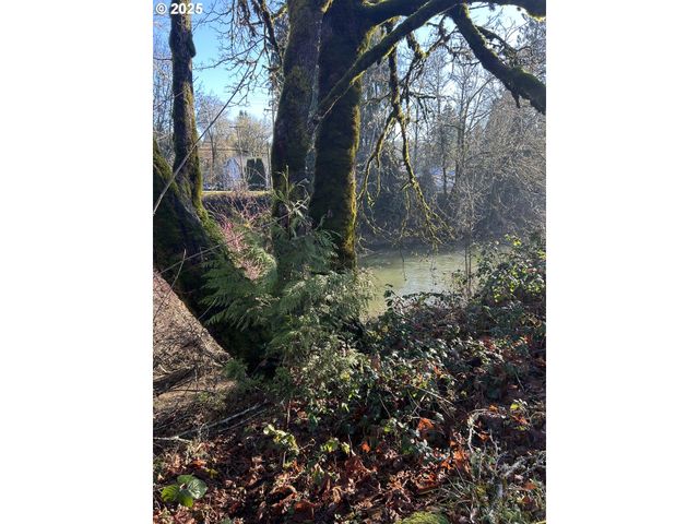 1105 Riverside Dr 17, Vernonia, OR 97064