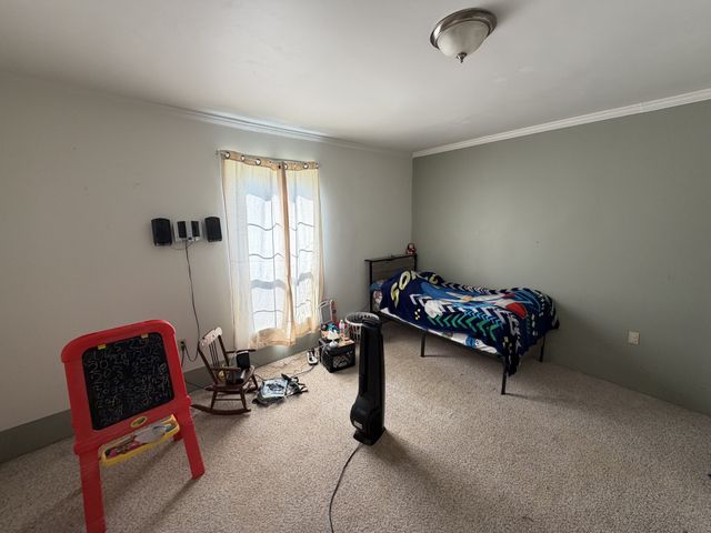 611 Tumbling Creek Rd, Mc Kenzie, TN 38201