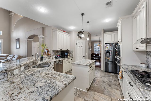 20530 WILD SPRINGS DR, San Antonio, TX 78258