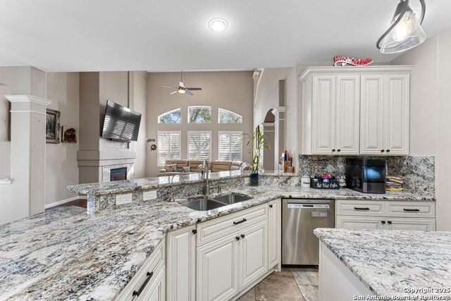 20530 WILD SPRINGS DR, San Antonio, TX 78258