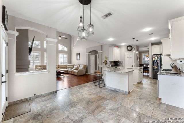 20530 WILD SPRINGS DR, San Antonio, TX 78258