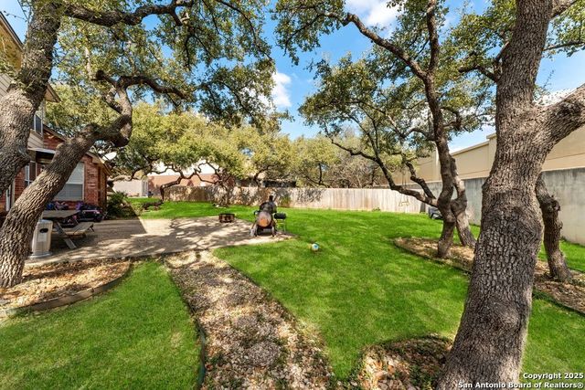 20530 WILD SPRINGS DR, San Antonio, TX 78258