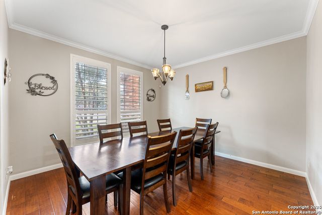 20530 WILD SPRINGS DR, San Antonio, TX 78258