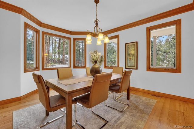 916 Tenderfoot Drive, Larkspur, CO 80118