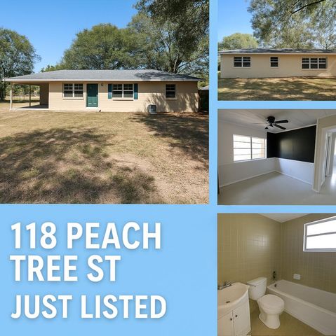 118 Peach Tree Street, Paxton, FL 32538