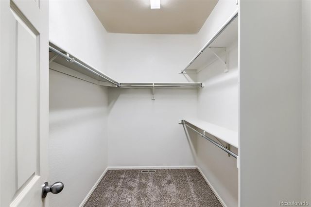 3302 Lump Gulch Way, Erie, CO 80516