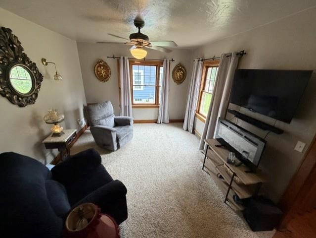 1203 ROYALTON STREET, Waupaca, WI 54981