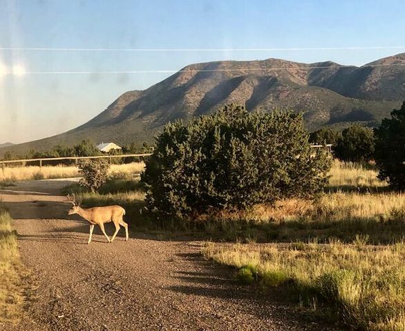 78 Drake Road, Edgewood, NM 87015