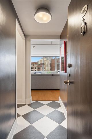 1150 N Lake Shore Drive 14K, Chicago, IL 60611