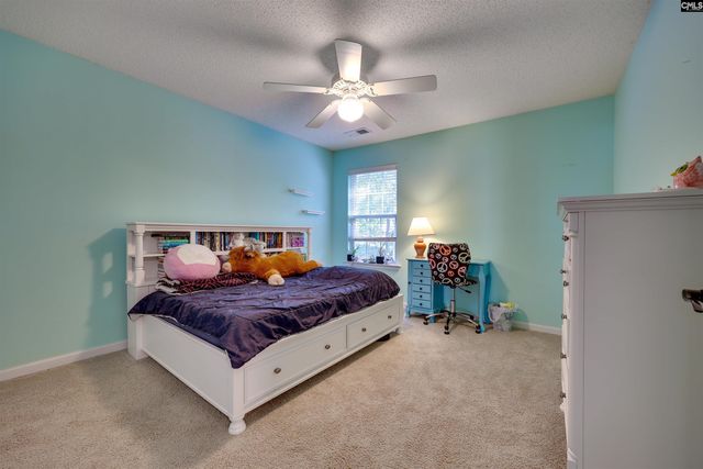 206 Coopers Hawk Circle, Irmo, SC 29063