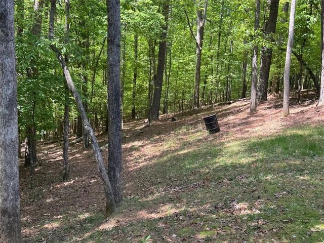 55 Monitor Drive, Ellijay, GA 30540