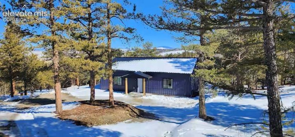 1173 Bellows Road, Hartsel, CO 80449 — exterior