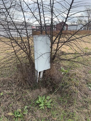 420 Rising Star, Quitman, TX 75783