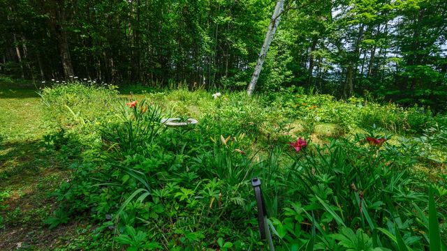 240 Ghia Farm Road, Ludlow, VT 05149