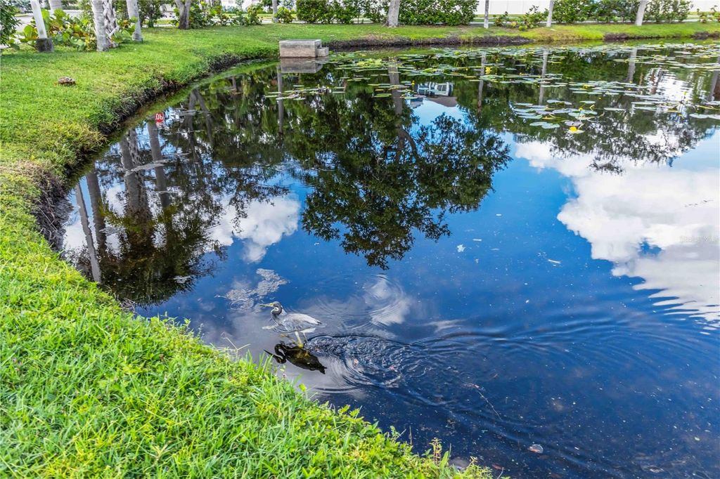 Image 43 of property listing at 4620 47TH AVENUE W 201, Bradenton, FL 34210