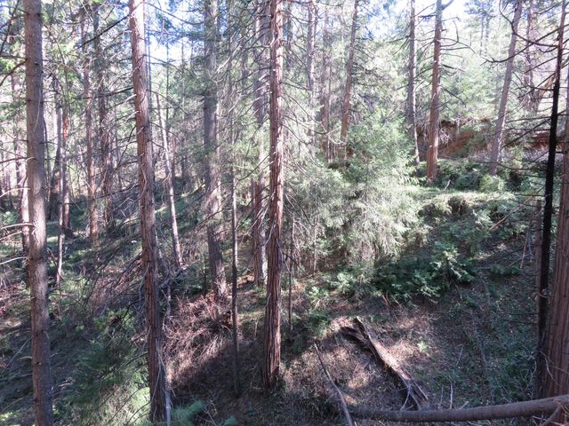 1360 Argonaut Ln, West Point, CA 95255