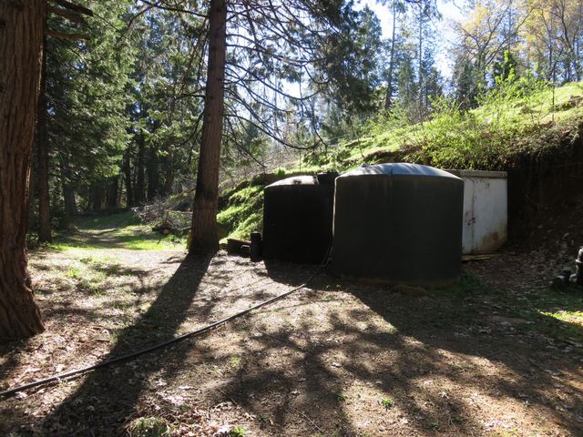 1360 Argonaut Ln, West Point, CA 95255