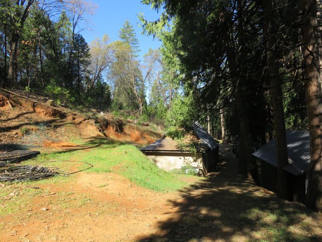 1360 Argonaut Ln, West Point, CA 95255