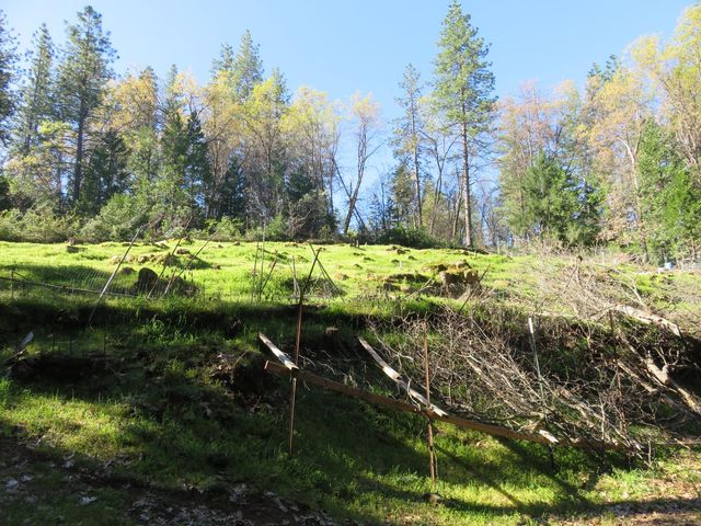 1360 Argonaut Ln, West Point, CA 95255