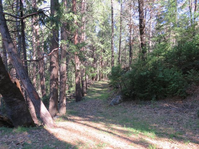 1360 Argonaut Ln, West Point, CA 95255